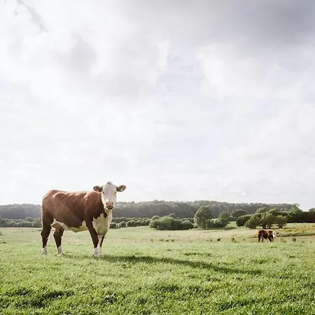 بيت للعطل Gut-royum-haferkiste Brodersby-Goltoft