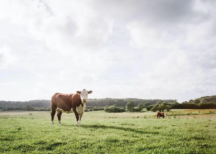 Prázdninový dům Gut-royum-haferkiste Brodersby-Goltoft